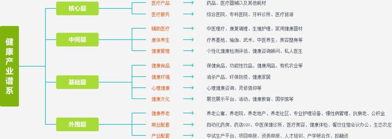 健康咨询:连接你我之间的桥梁