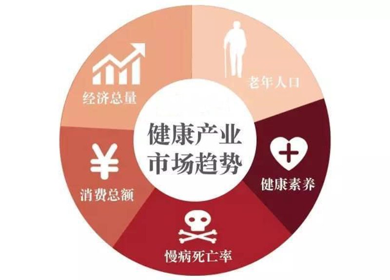 健康生活:从健康管理开始